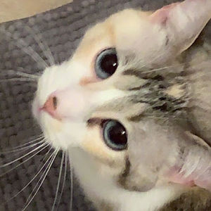 Meet your Posher, Jade